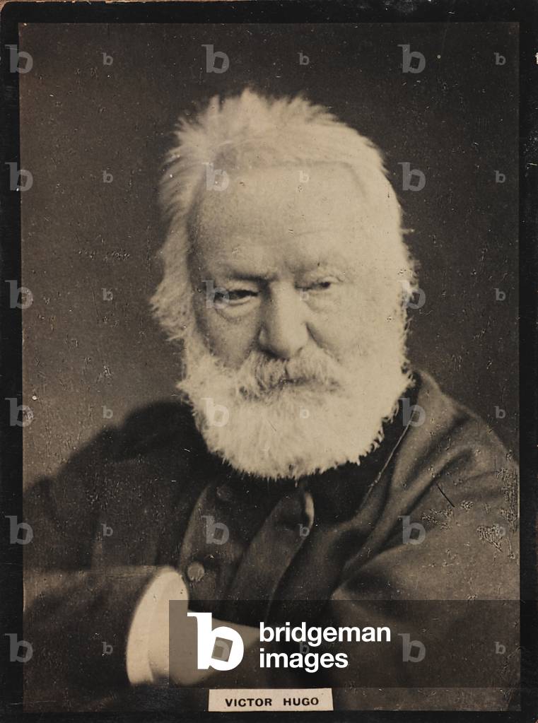 Portrait of the French writer  Victor Hugo (1802-1885)
