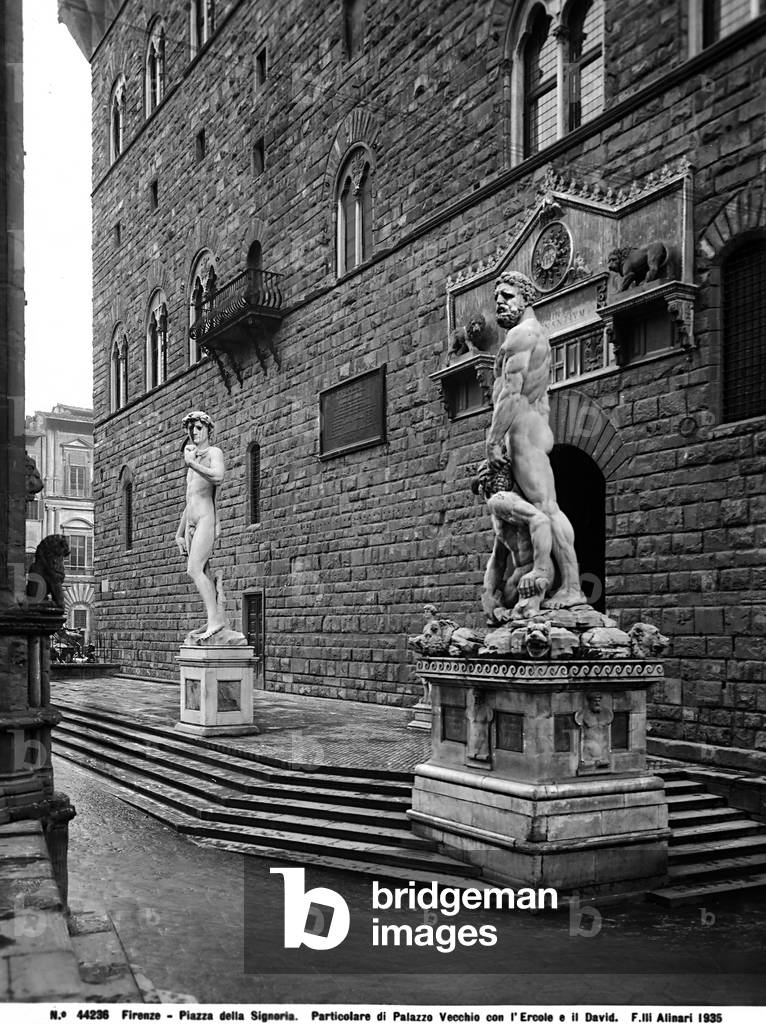 View of Palazzo Vecchio, the David and the statue of Hercules and Kaki by Baccio Bandinelli.