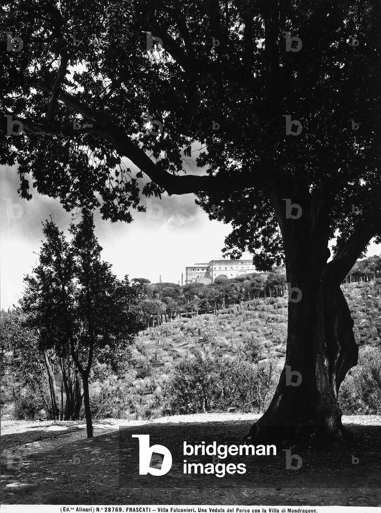 View of Villa Mondragone from the park of Villa Falconieri in Frascati