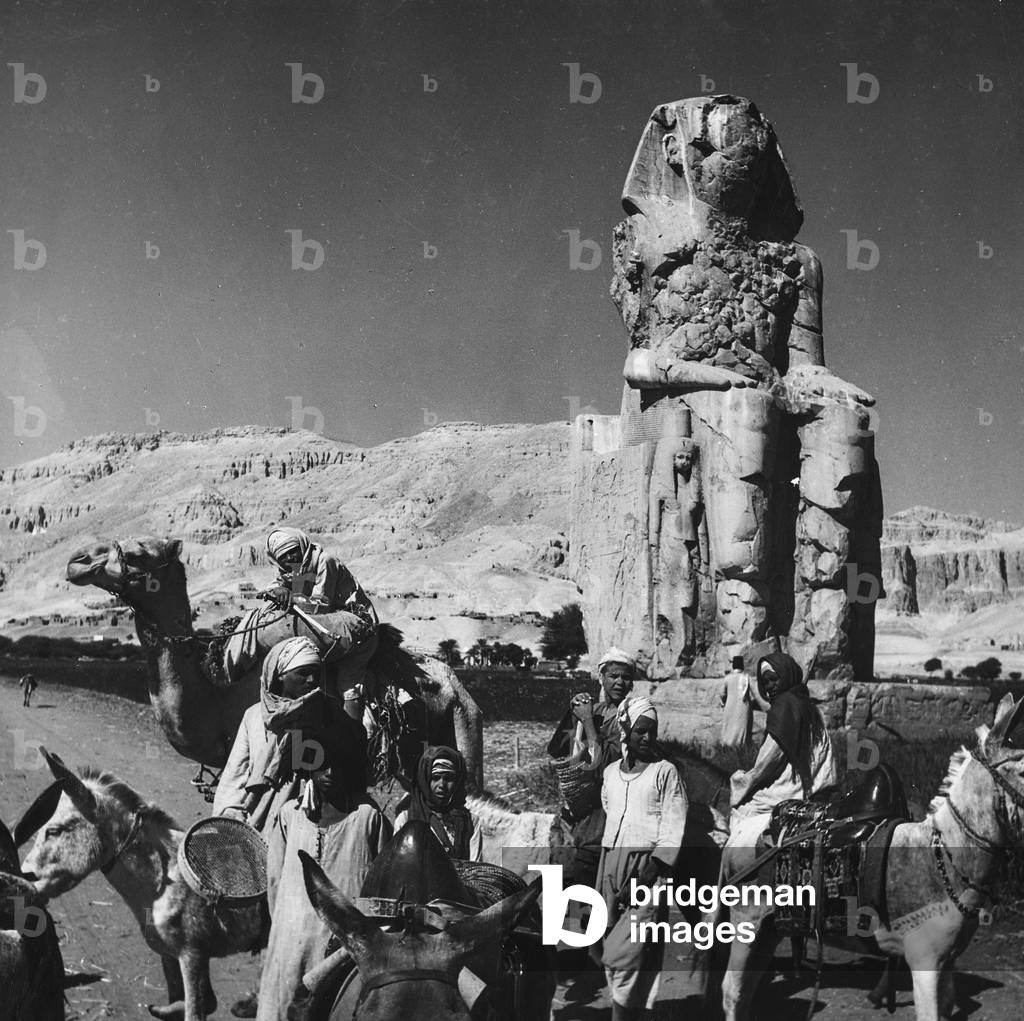 Bedouin donkey and camel in front of one of the Colossi of Memnon, Luxor