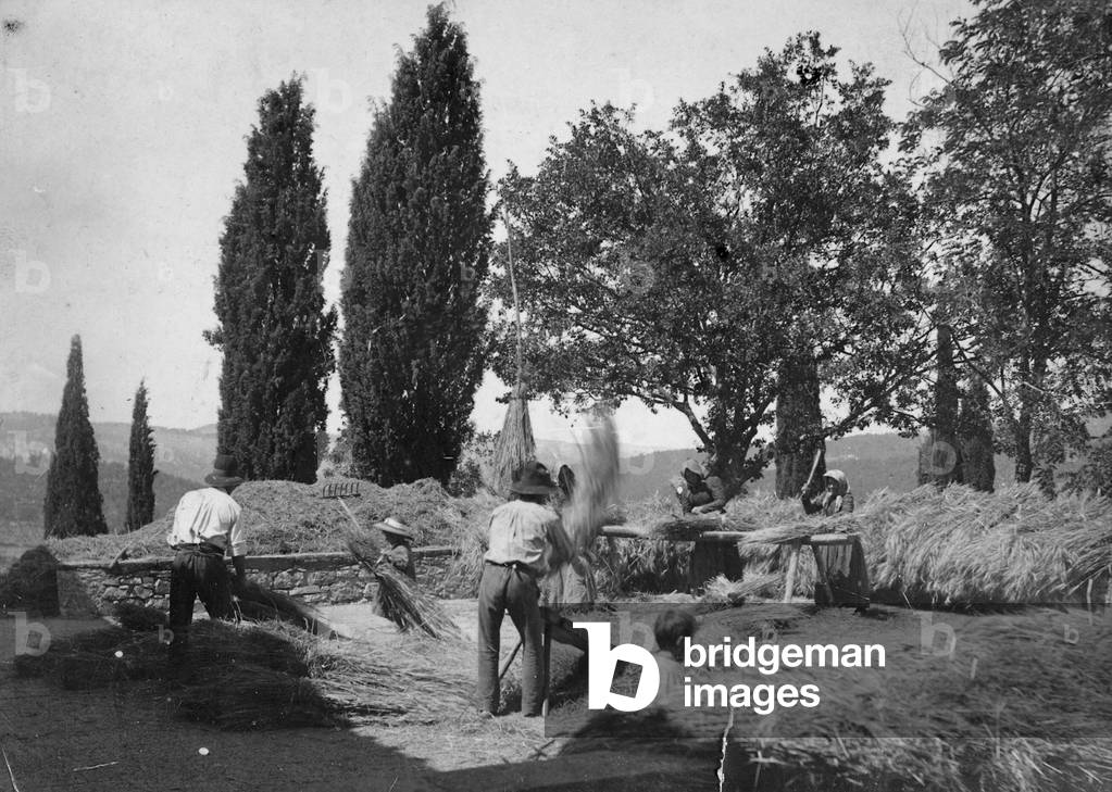Chianti: peasants during threshing hay