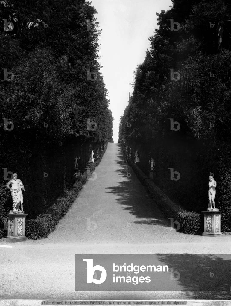 Perspective view of the cypress-lined in the Boboli Gardens, Florence