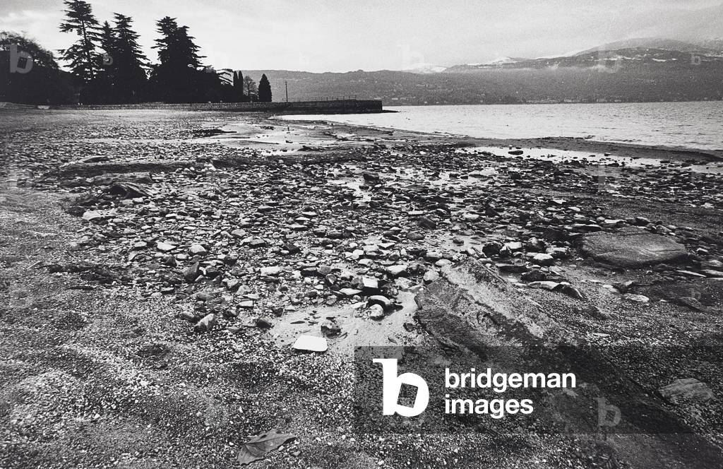 View of the beach with stones