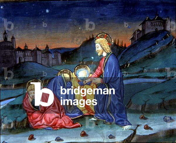 Fol.104r Christ having prayed on the Mount of Olives returns to find the disciples asleep (vellum)