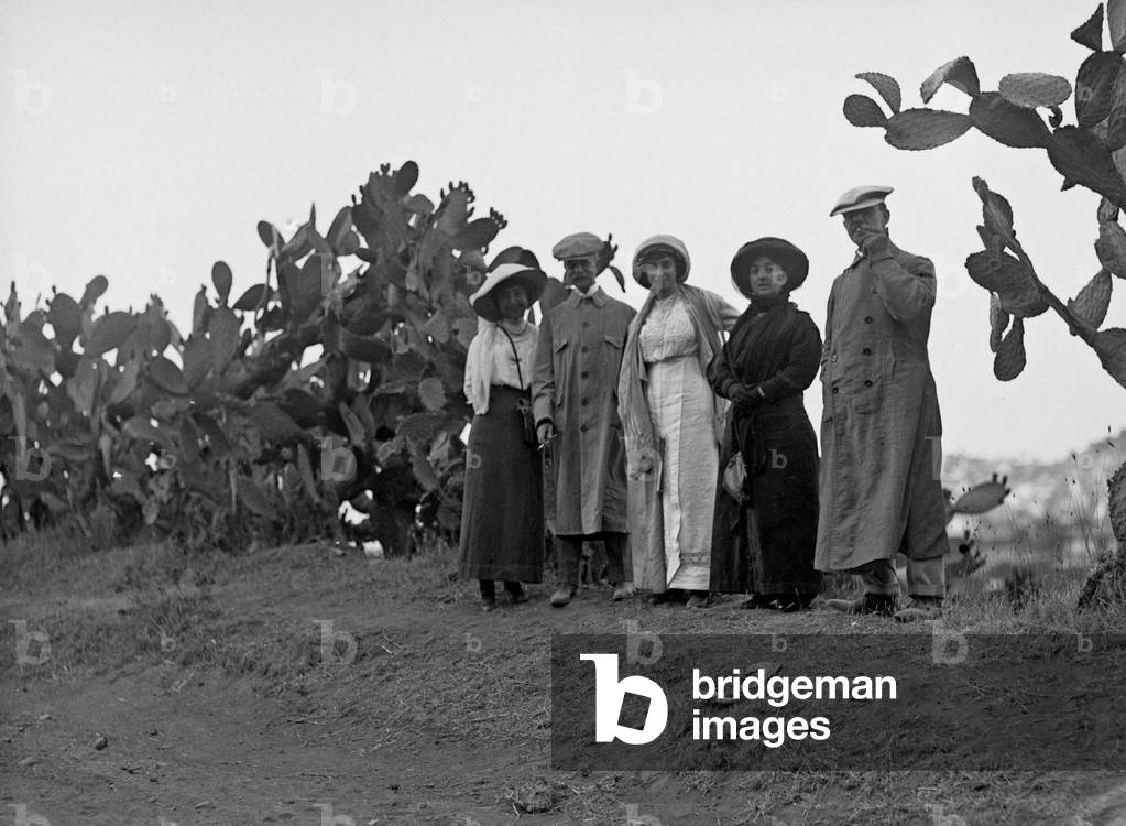 Portrait of a group of prickly India