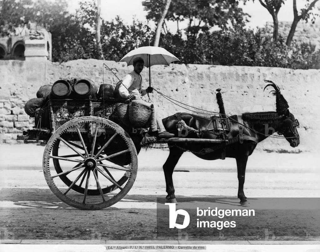 A traditional wine cart drawn by a donkey, Palermo, Sicily