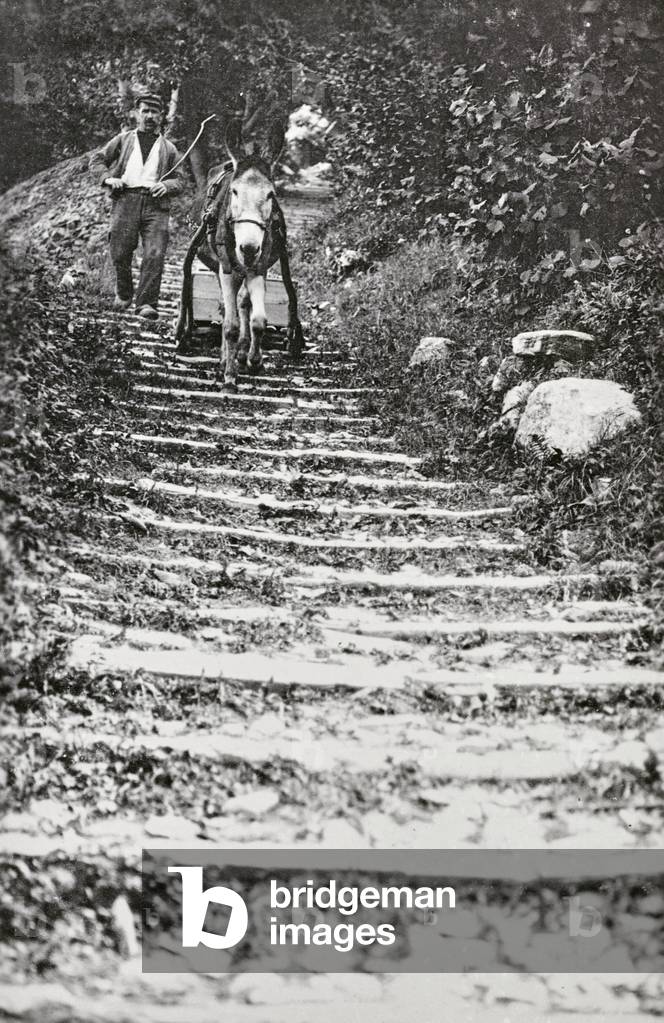 Man with a donkey carrying a crate on the outskirts of Como