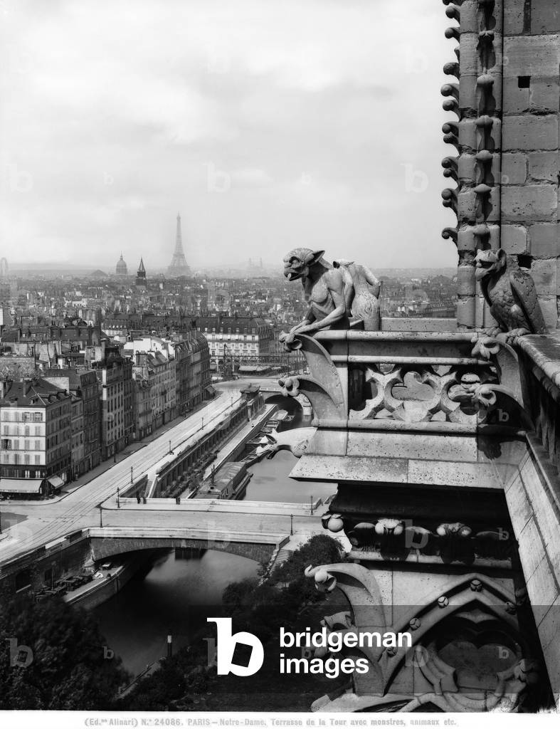 Detail of a terrace with monstrous figures, Cathedral of Notre-Dame, Paris. The Eiffel Tower and part of the city are visible.