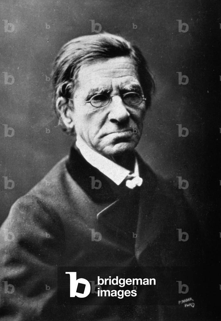 Half-length portrait of the French philologist Émile Littré
