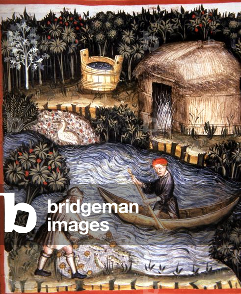 Fol.82r Fresh Fish, illustration from 'Tacuinum Santiatis Codex Vindobonensis' (vellum)