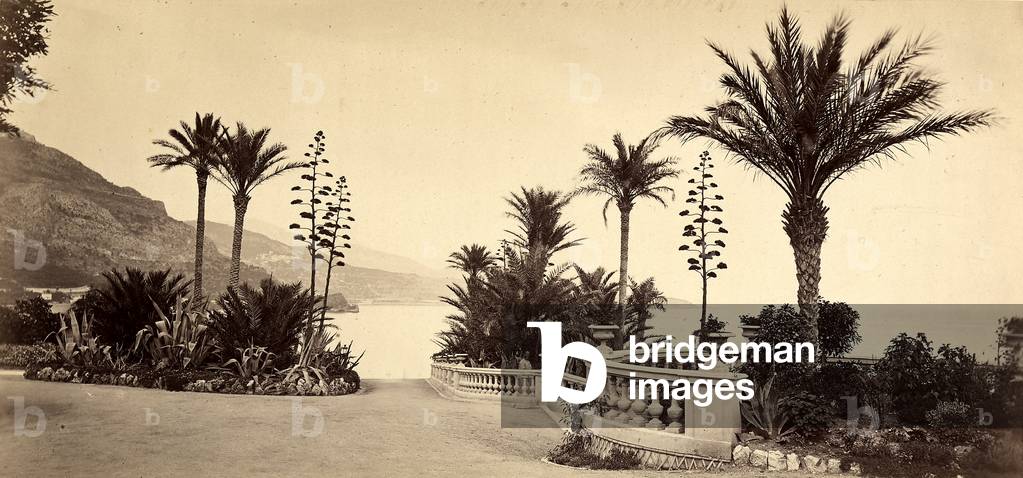 The garden of the Casino of Montecarlo, in the Principality of Monaco, 1890 ca. (b/w photo)