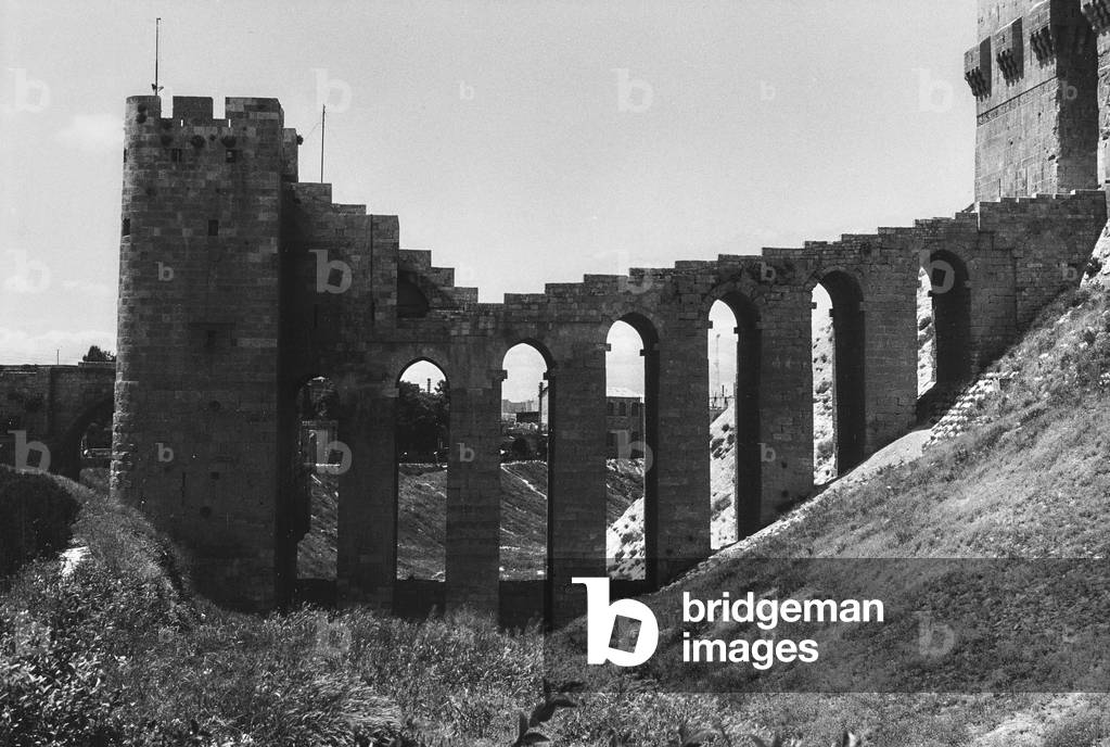The fortified citadel of Aleppo, detail