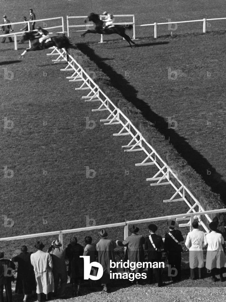 Equestrian: jumping over an obstacle
