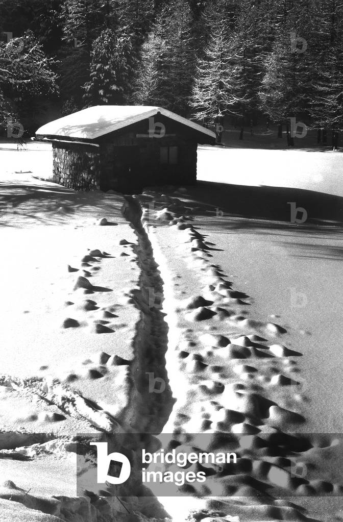 Road to an Alpine Hut in Morteratsch, Valle dell'Engadina, Switzerland (b/w photo)