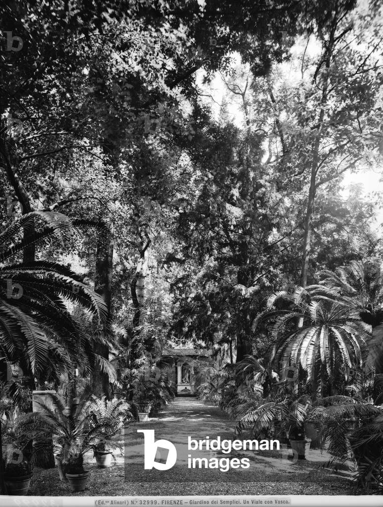 The Garden of Simples (Botanical Garden), Via Lamarmora, Florence