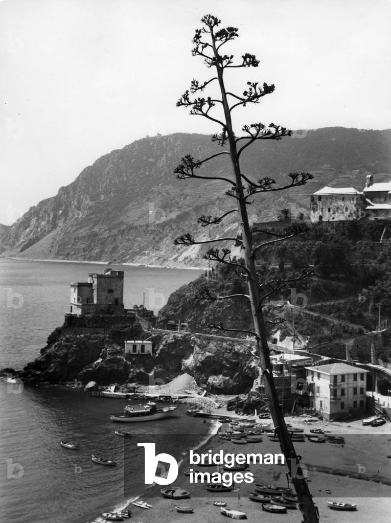 Monterosso, Liguria, Italy, 1961