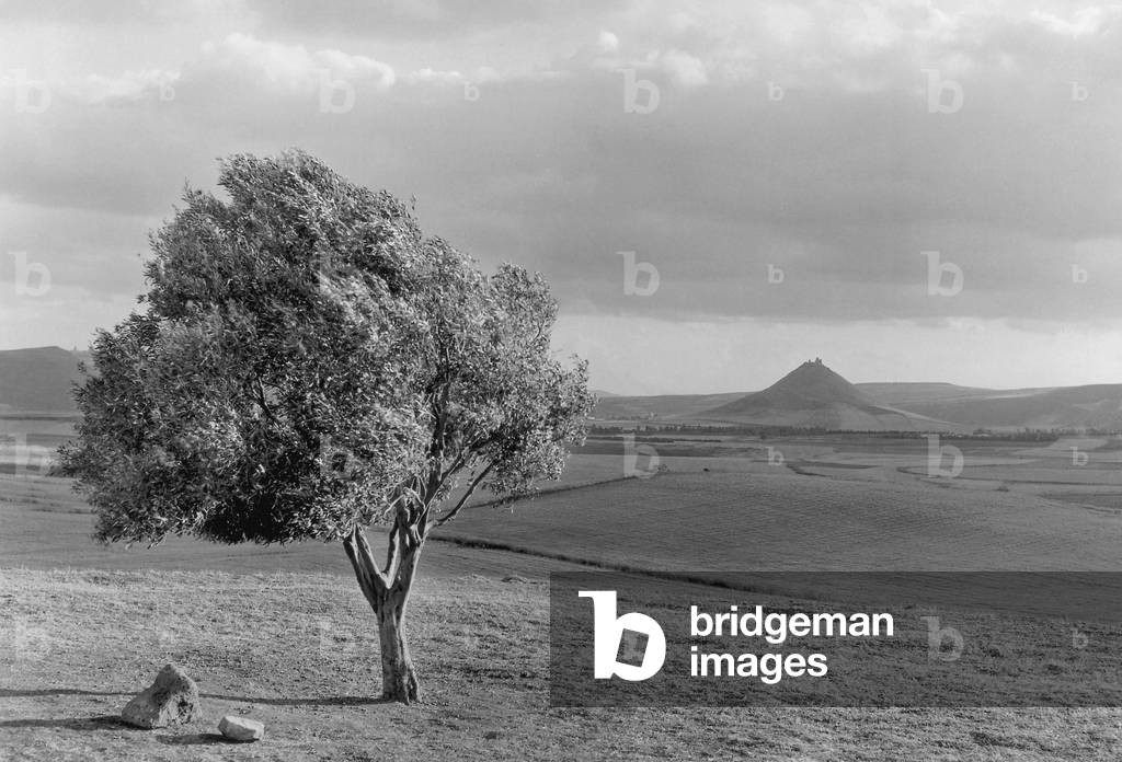 View of the countryside Barumini (b/w photo)
