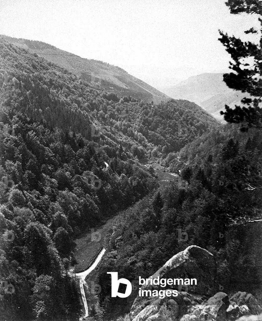 View of the Black Forest in Germany