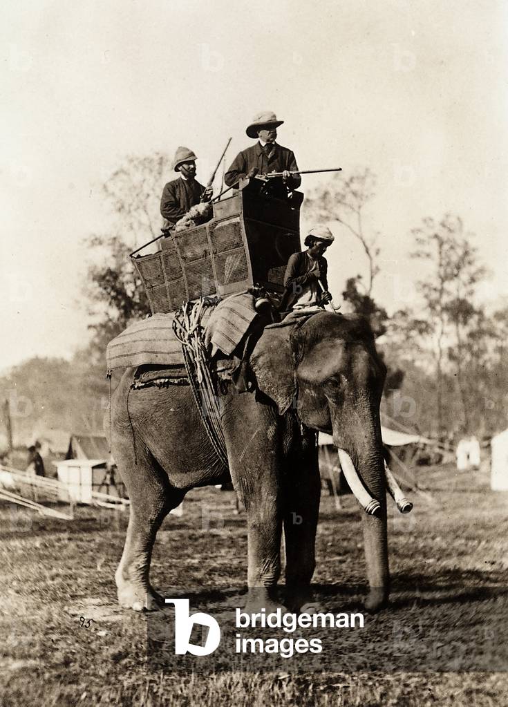 The Prince of Wales riding an elephant while participating in a tiger hunt, in India, 1864 (print on double-weight paper)