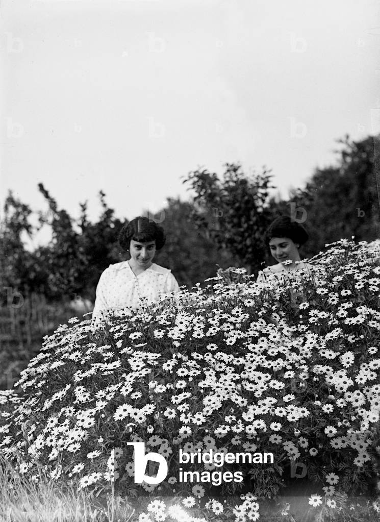 Portrait of two women behind a plant daisies