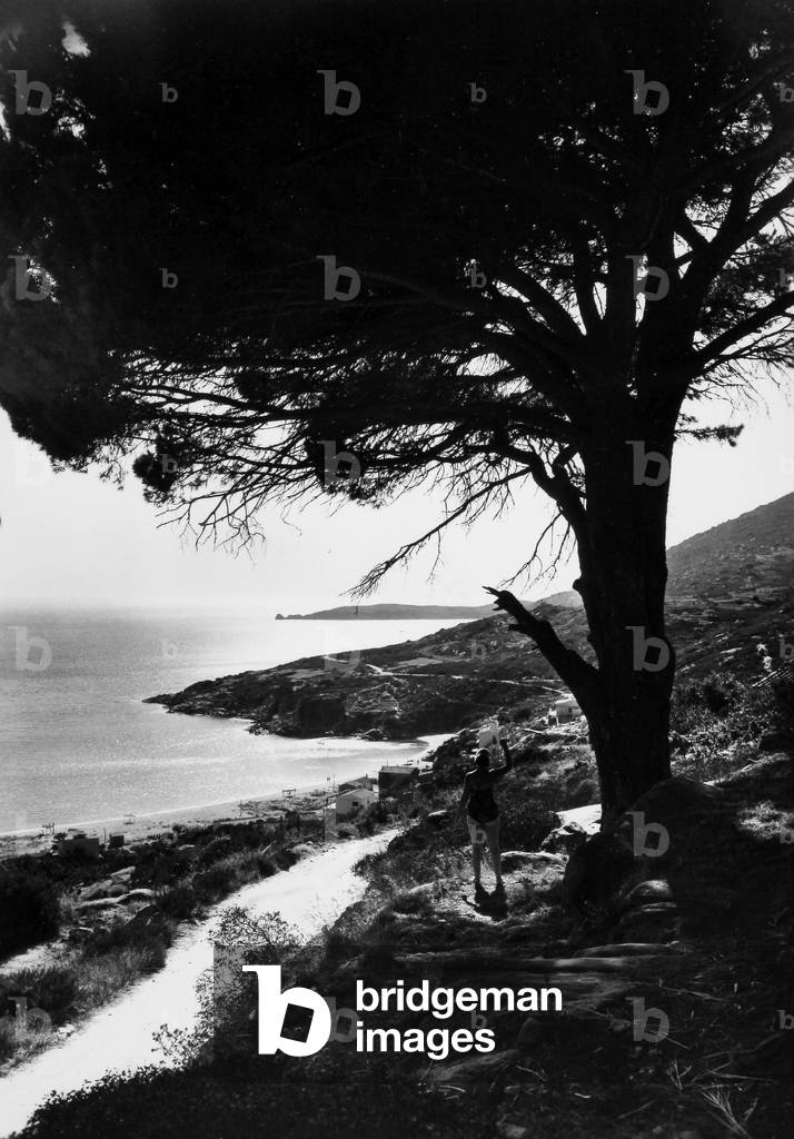 A panoramic view of the seascape, Isola d'Elba