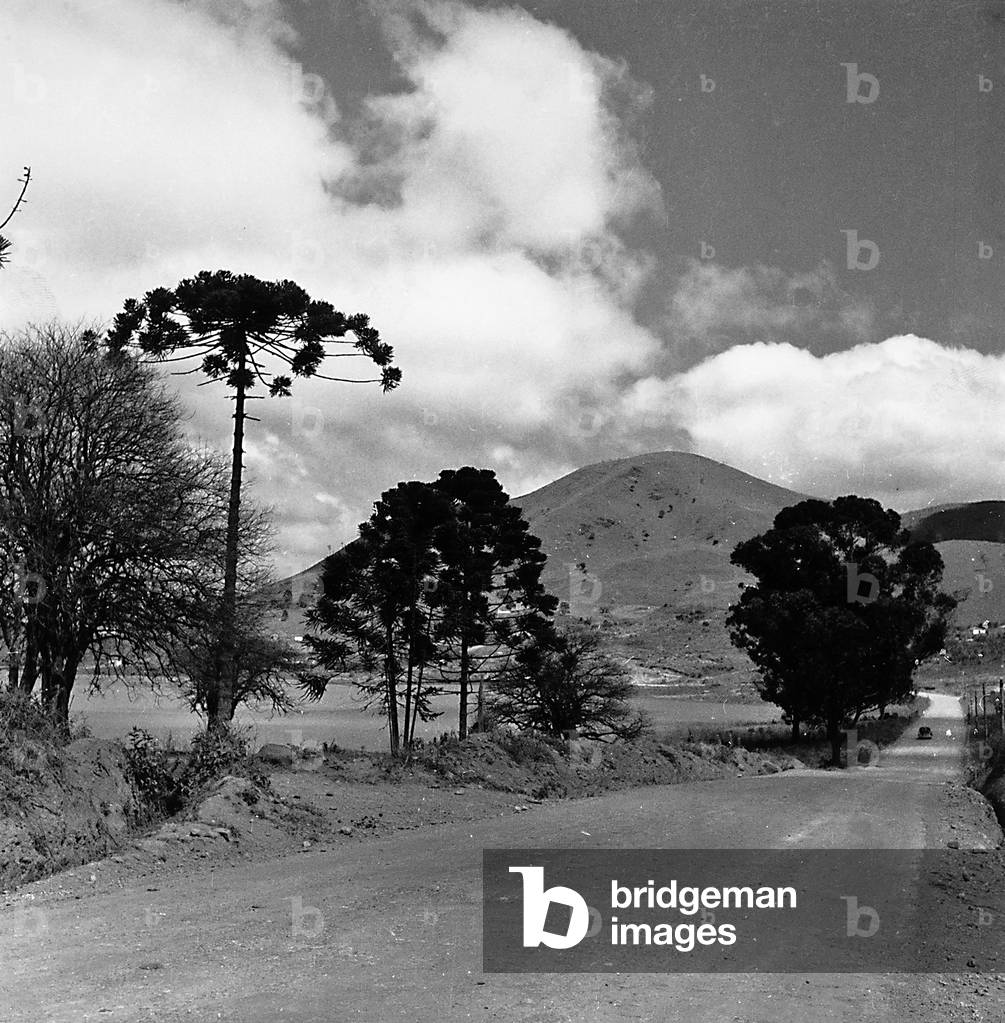 Dirt road on the Isla Bella, Brazil