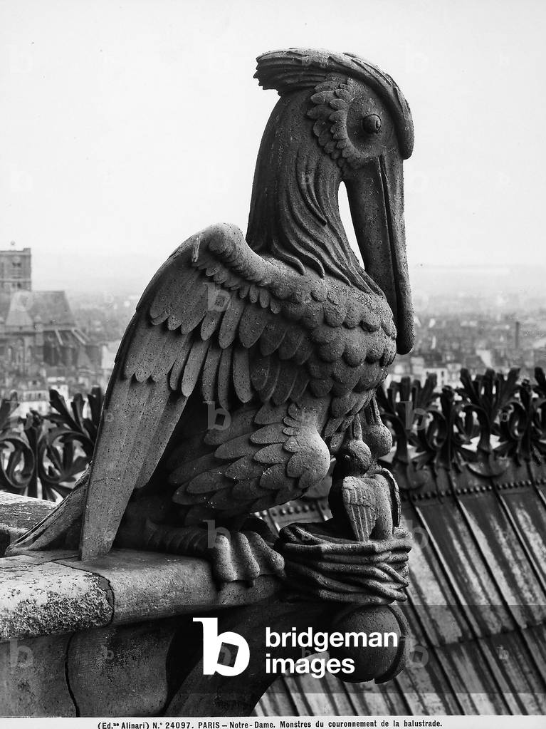 Figure depicting a pelican feeding her young. Detail of the sculptures located on a terrace in the Cathedral of Notre-Dame, Paris