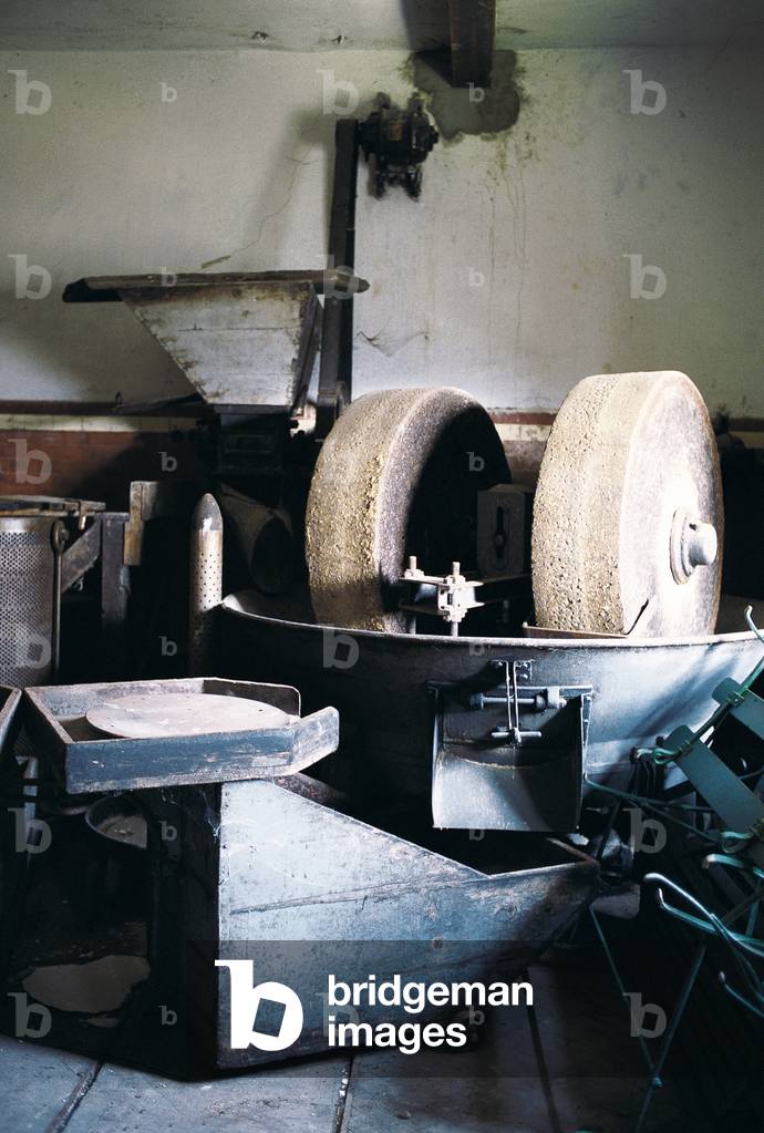 Chianti. Interior of an oil mill