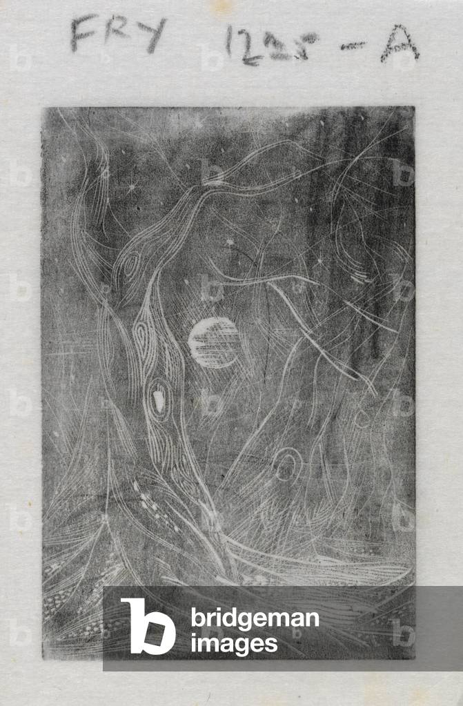 (Night-time Tree) (wood engraving)
