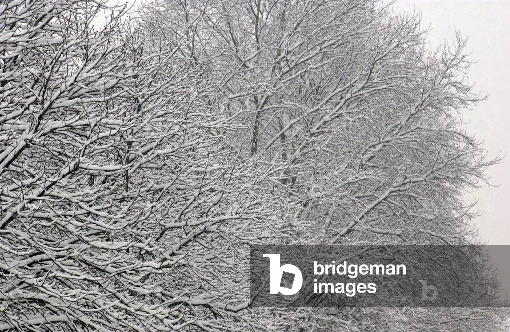 Bild von Fotografie "Cavenago Brianza (près de Milan en Italie) sous la neige"