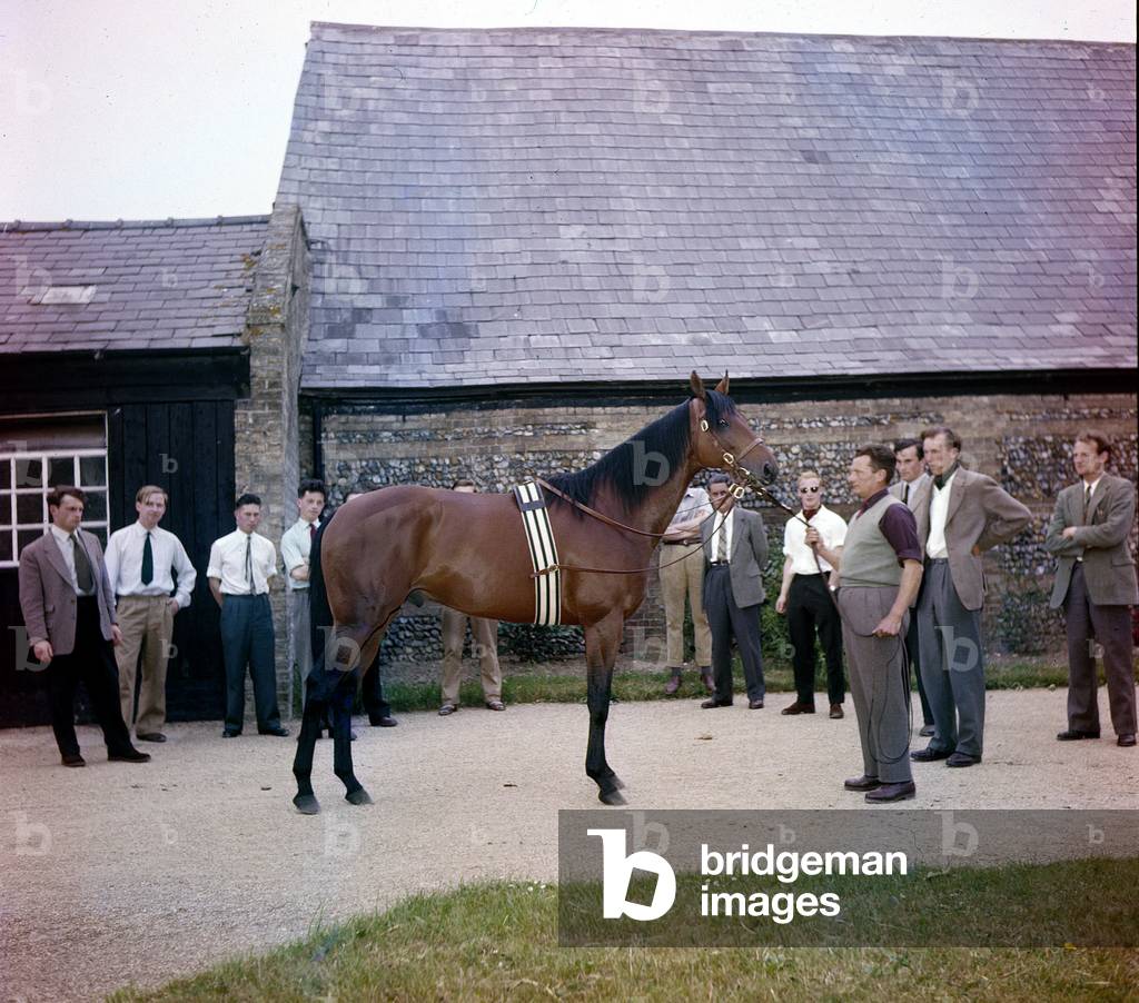 Le champion italien Ribot. © Farabola/ Leemage