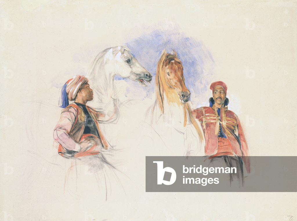 Schizzi di Cavalieri