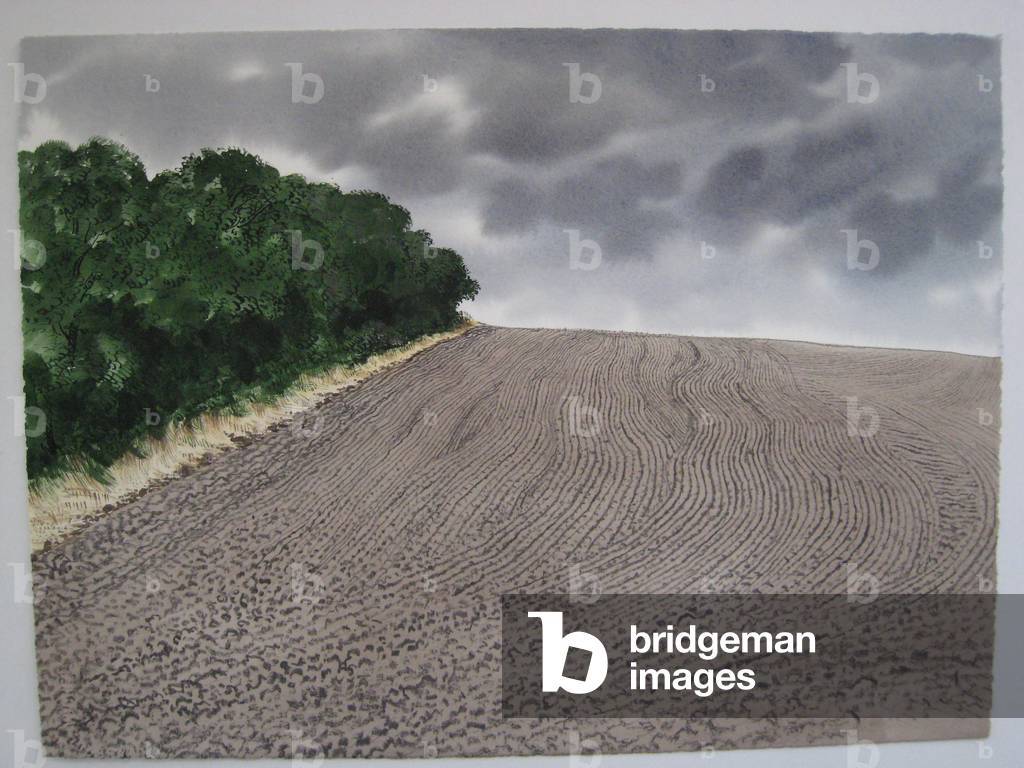 Ploughed Field after Rolling, Suffolk, 2011 (pen & ink and w/c on paper)