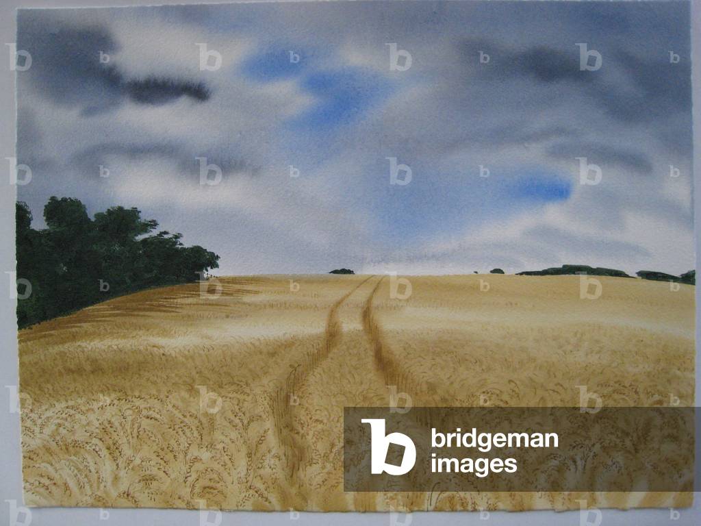 Sloping Cornfield, 2011 (pen & ink and w/c on paper)