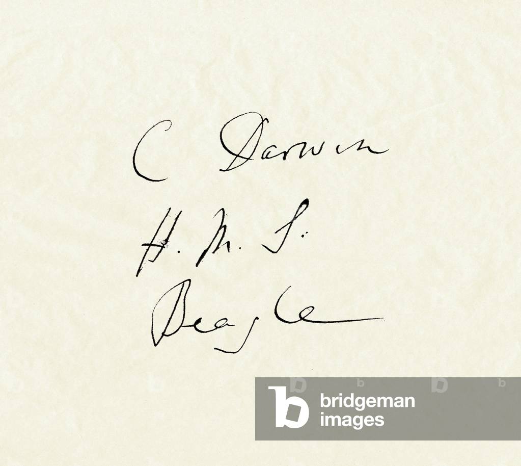 Signature of Charles Darwin (1809-1882) from the New Testament, which he took with him on his expedition aboard the Beagle. The Bible is preserved at the Charles Darwin Trust, London.