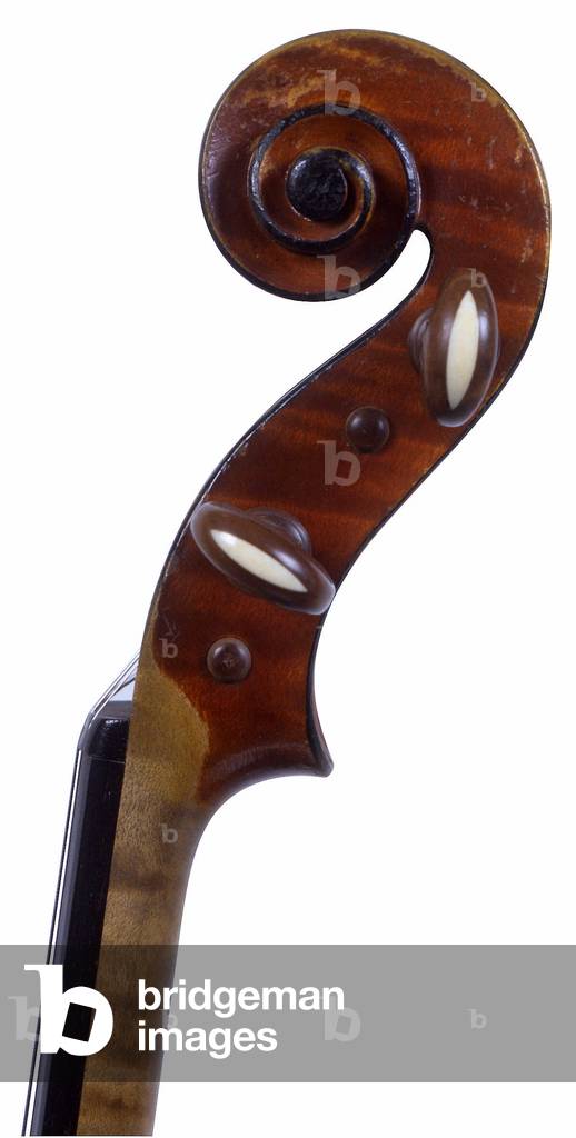 Violin volute made by Italian luthier Giuseppe Lecchi, Genes, 1931.