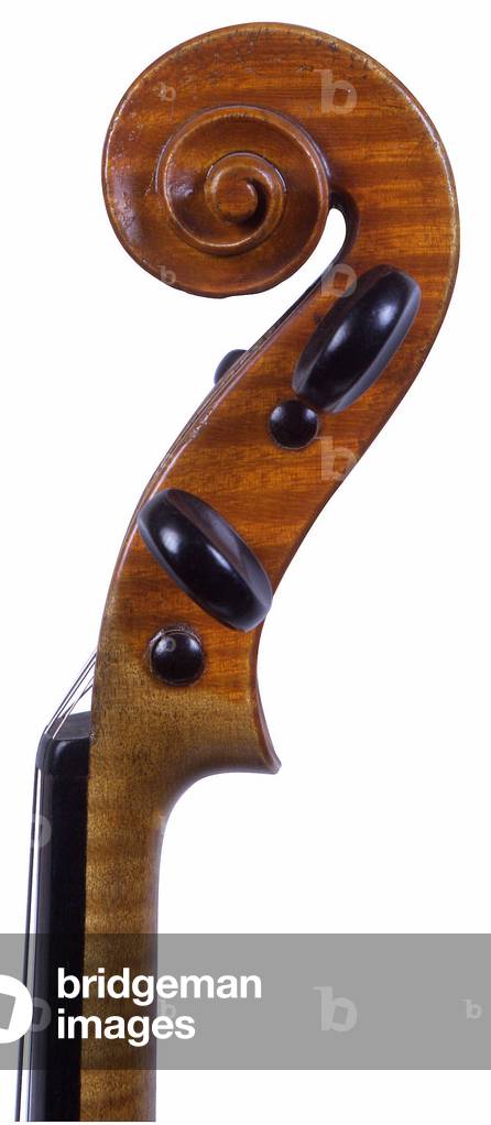 Volute of a violin by luthier Ambrogio Sironi, Milan 1929