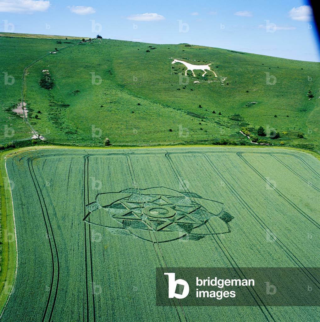 Crop circle in wheat field, Milk Hill, Alton Priors, Vale of Pewsey, Wiltshire, 17th July 2003 (aerial photograph)