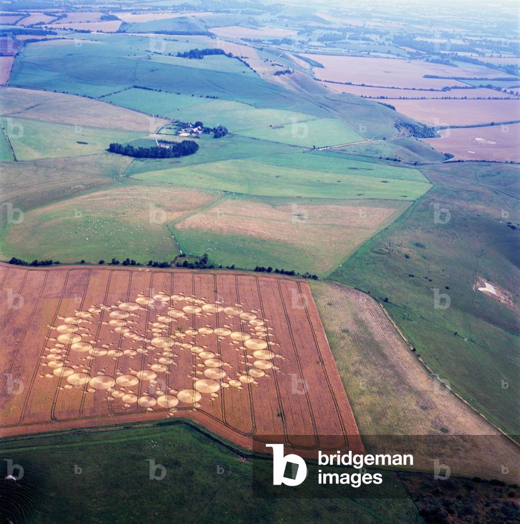Crop circle in wheat field, Milk Hill, Alton Priors, Vale of Pewsey, Wiltshire, 14th August 2001 (aerial photograph)