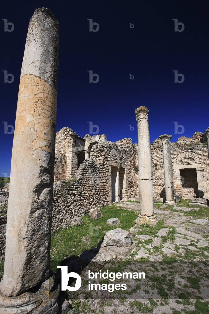 Antoninian Baths/Dougga/Tunisia/UNESCO Site