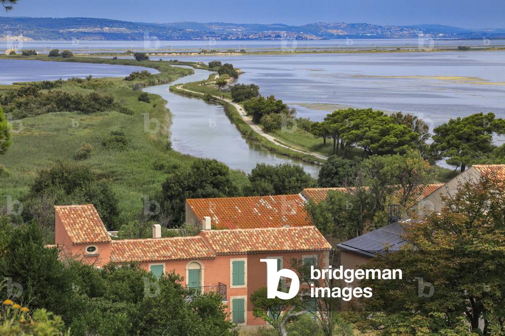 Robine Canal, accross the natural park of the island of Saint Lucie
