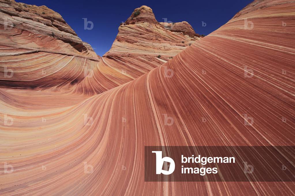 The Wave. Paria Canyon - Vermilion Cliffs National Wildeness. North Coyote Buttes. National Monument. Arizona