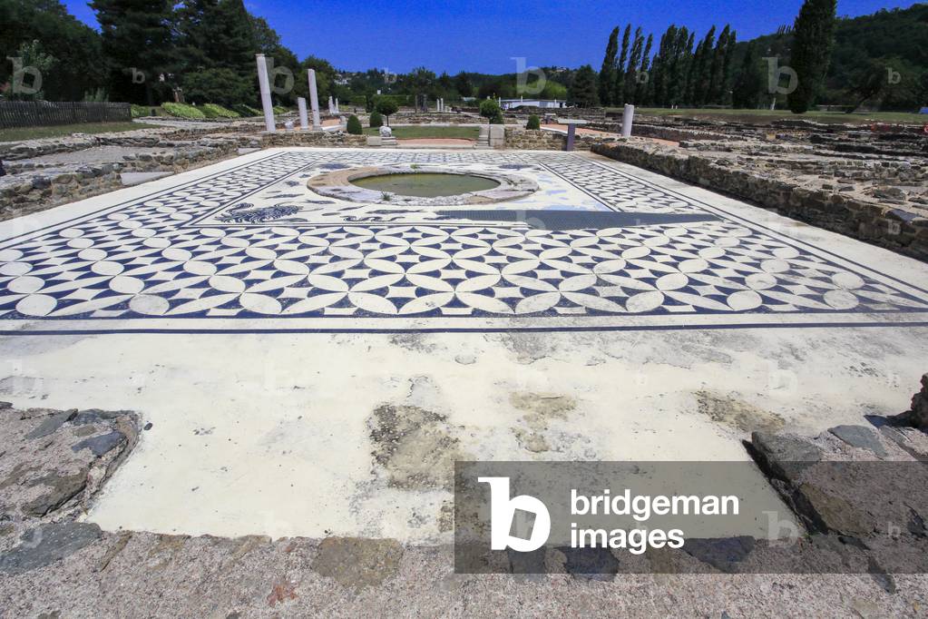 Gallo-Roman archaeological site in Saint-Romain-en-Gal  near Vie
