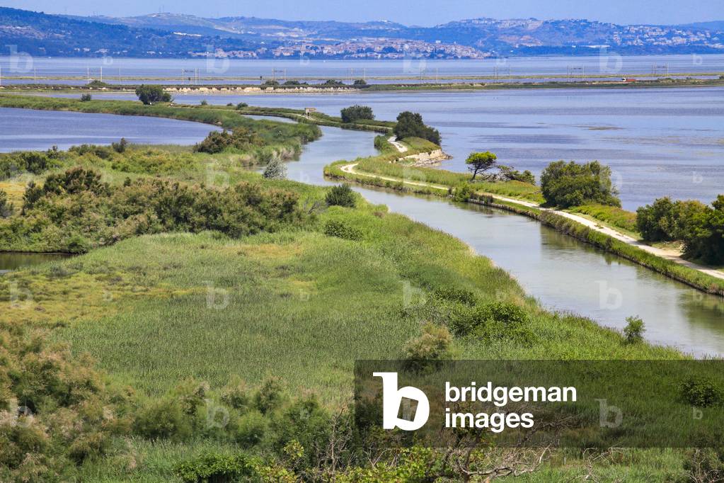 Robine Canal, accross the natural park of the island of Saint Lucie