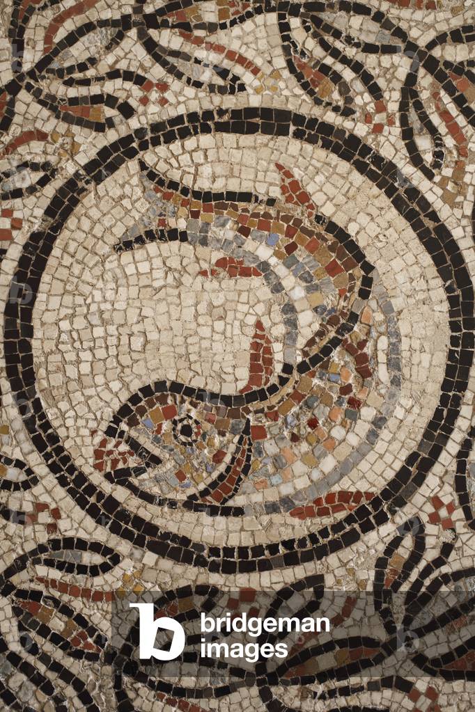 Mosaic with fishes, detail