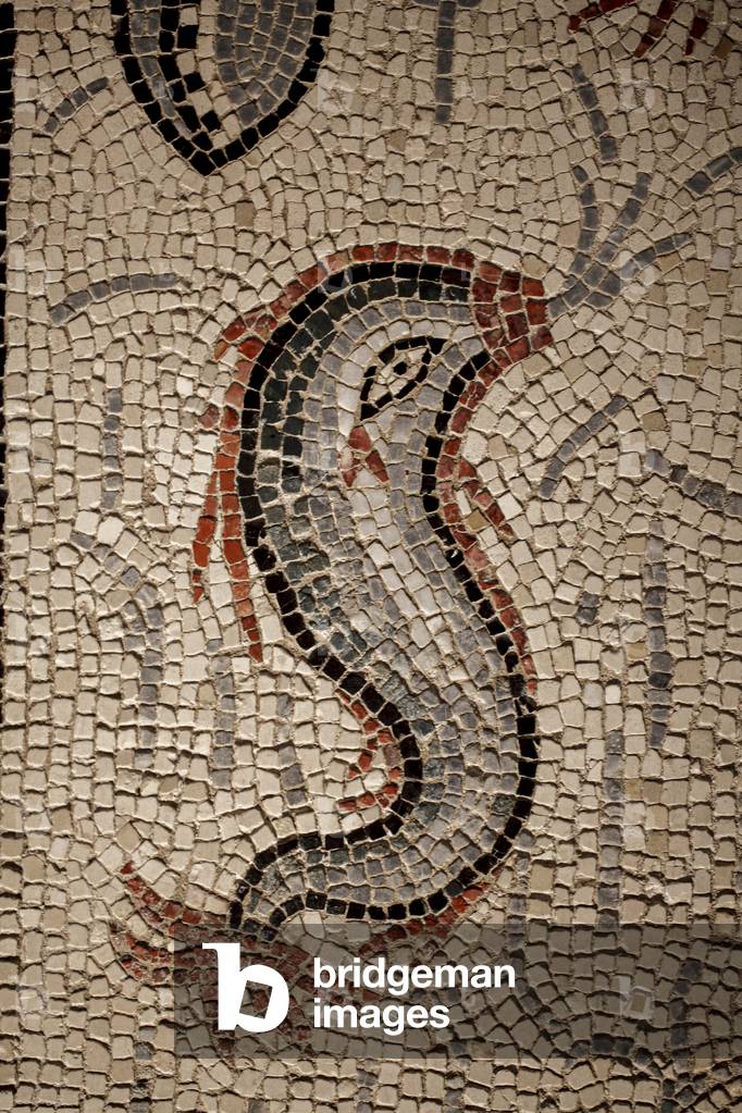 Mosaic with fishes, detail