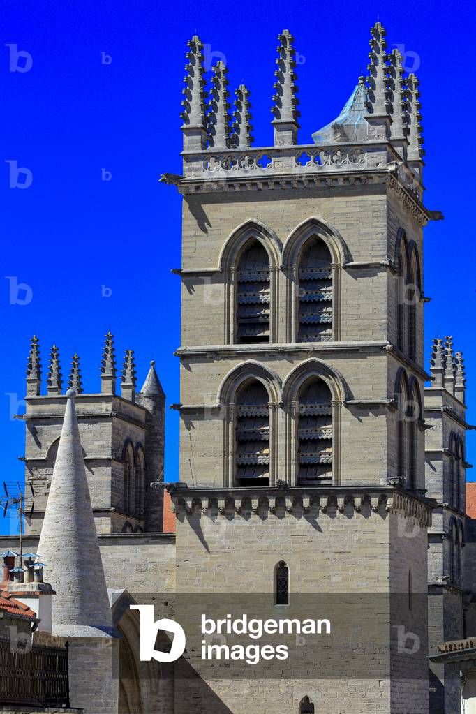 Cathedral of Montpellier. Old Town. Herault, France
