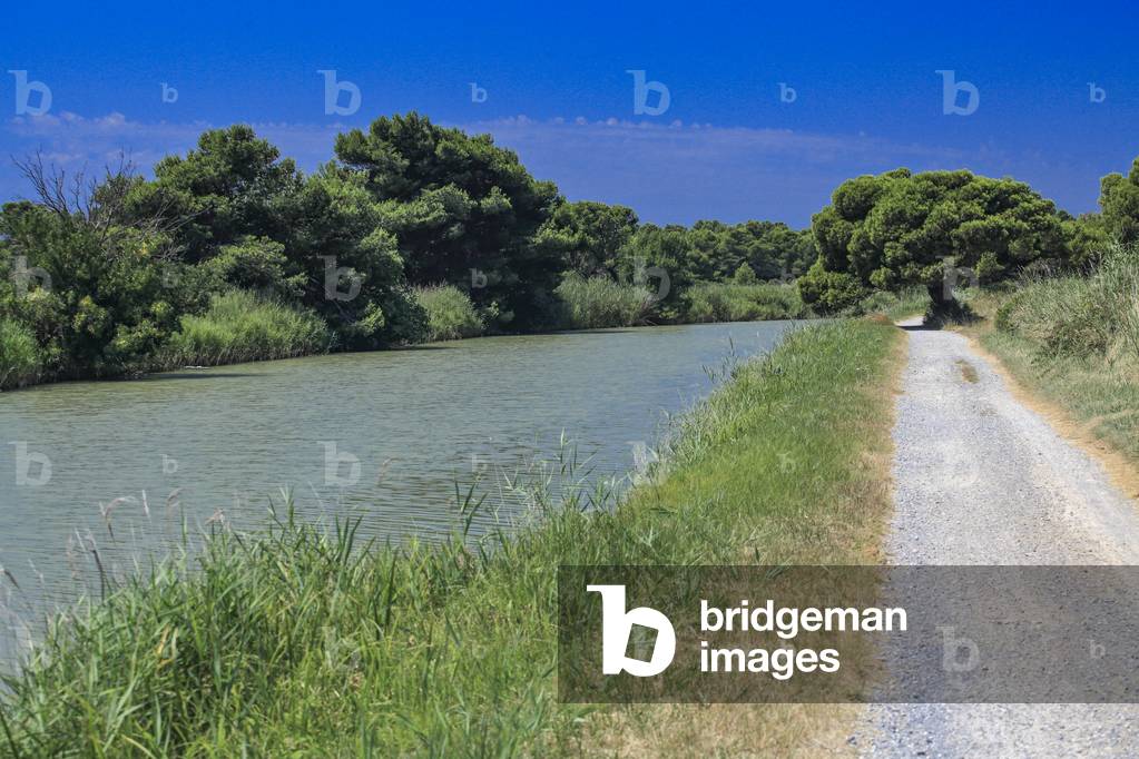 Robine canal, in Saint Lucie
