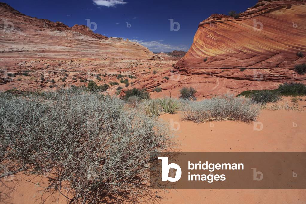 Coyote Buttes. Paria Canyon - Vermilion Cliffs National Wilderness. National Monument. Arizona, USA, USA
