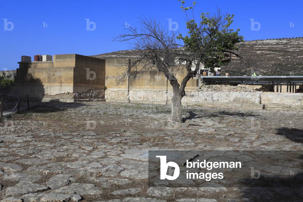 West court and West facade of the palace of Cnossos. The west court had an important role for the religious ceremomies. Cnossos, Knossos, Crete, Greece. Minoan civilization. 1600 - 1450 BC.

Façade et court Ouest du Palais de Knossos. Cette cour est traversée par une voie processionnelle qui mène au théâtre. La cour Ouest jouait un rôle important dans les cérémonies religieuses. Knossos, Cnossos, Crete, Grèce, Civilisation Minoenne.  1600 - 1450 av J.-C.